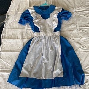 Alice in Wonderland Dress